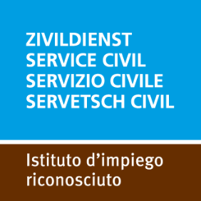 ZIVI_Logo_IT